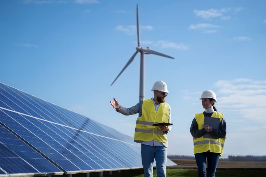 Elimination of Green Energy Tax Credits.